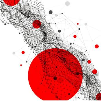 Costruire l'azienda data driven