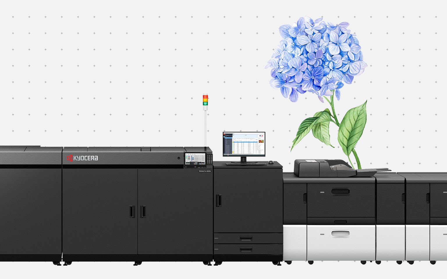drupa